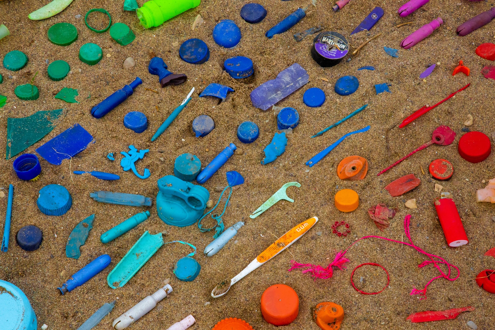 Everything You need to know about a Beach Clean Up